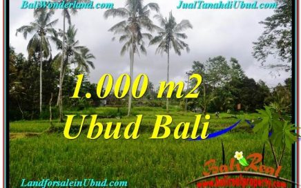 DIJUAL TANAH di UBUD BALI Untuk INVESTASI TJUB570