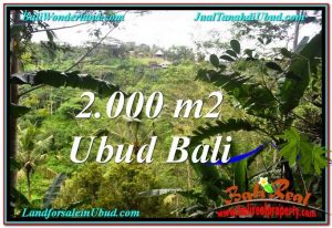 TANAH di UBUD DIJUAL MURAH 2,000 m2 di Ubud Payangan