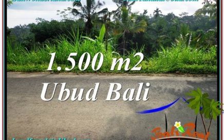 TANAH MURAH DIJUAL di UBUD BALI Untuk INVESTASI TJUB556