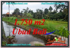 INVESTASI PROPERTY, TANAH di UBUD DIJUAL MURAH TJUB557