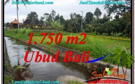 INVESTASI PROPERTY, TANAH di UBUD DIJUAL MURAH TJUB557