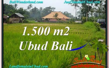 INVESTASI PROPERTY, TANAH di UBUD DIJUAL MURAH TJUB558