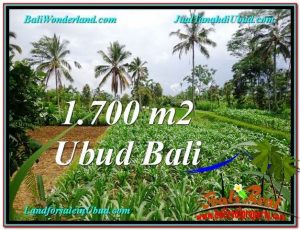 TANAH MURAH DIJUAL di UBUD BALI TJUB560