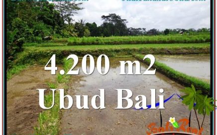 JUAL TANAH di UBUD BALI 4,200 m2 View kebun dan sawah