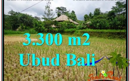 JUAL TANAH di UBUD 33 Are View kebun dan sawah