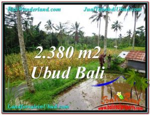 DIJUAL MURAH TANAH di UBUD BALI 2,380 m2 di Ubud Payangan