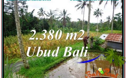 DIJUAL MURAH TANAH di UBUD BALI 2,380 m2 di Ubud Payangan