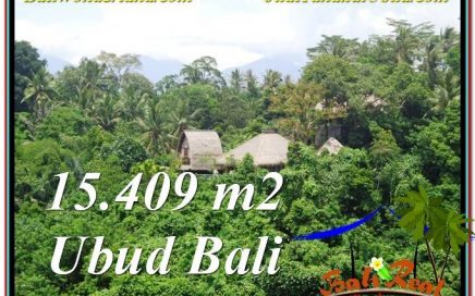 INVESTASI PROPERTI, TANAH DIJUAL MURAH di UBUD TJUB568