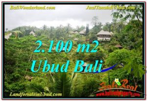 JUAL TANAH MURAH di UBUD BALI TJUB572