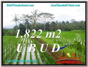 DIJUAL TANAH MURAH di UBUD 1,822 m2 di Ubud Payangan