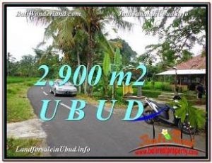 JUAL MURAH TANAH di UBUD 2,900 m2 di Sentral Ubud