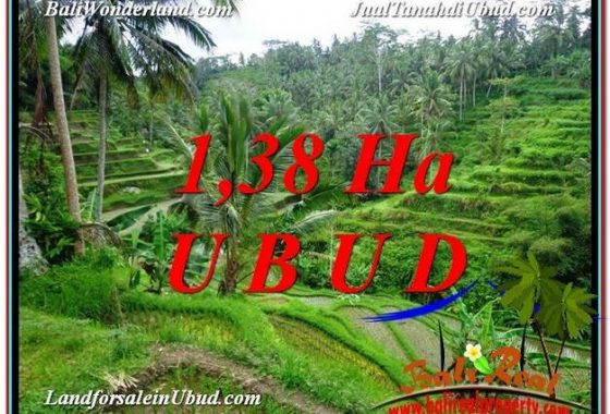 DIJUAL TANAH di UBUD BALI Untuk INVESTASI TJUB590