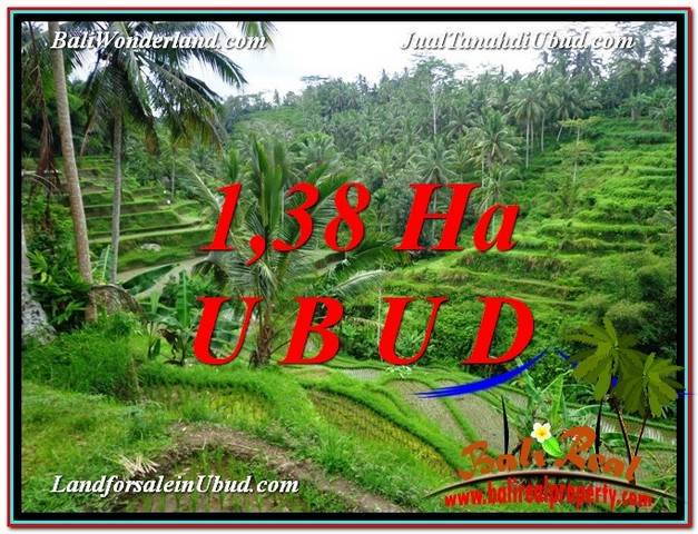 DIJUAL TANAH di UBUD BALI Untuk INVESTASI TJUB590