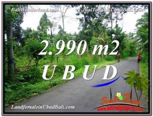 INVESTASI PROPERTI, TANAH MURAH DIJUAL di UBUD BALI TJUB591