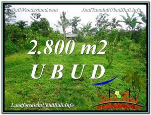 JUAL TANAH MURAH di UBUD 28 Are View kebun 