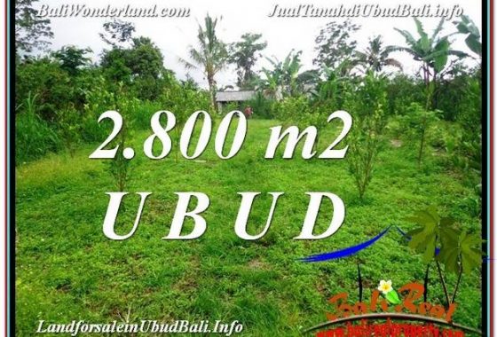 JUAL TANAH MURAH di UBUD 28 Are View kebun