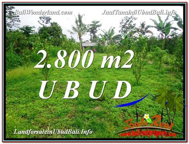 JUAL TANAH MURAH di UBUD 28 Are View kebun