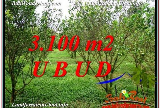 INVESTASI PROPERTY, JUAL TANAH di UBUD BALI TJUB593