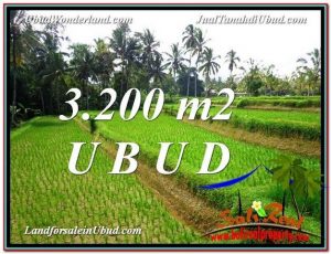 TANAH JUAL MURAH UBUD 3,200 m2 View Sawah link Villa