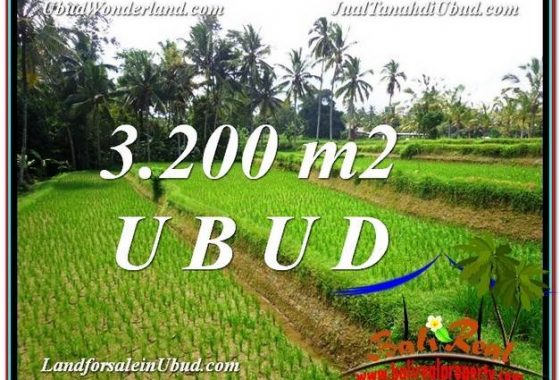 TANAH JUAL MURAH UBUD 3,200 m2 View Sawah link Villa