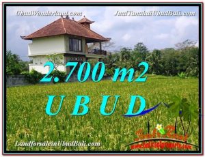 DIJUAL MURAH TANAH di UBUD BALI 27 Are di Ubud Tegalalang