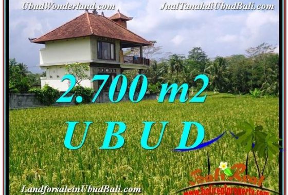 TANAH MURAH JUAL UBUD 2,700 m2 View Sawah link Villa