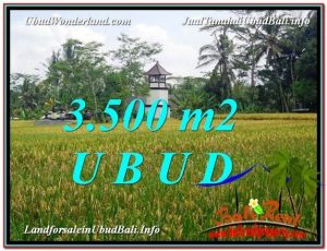 JUAL TANAH MURAH di UBUD BALI 35 Are View Sawah link Villa