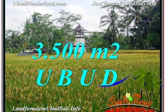 TANAH di UBUD BALI DIJUAL MURAH 35 Are di Ubud Tegalalang