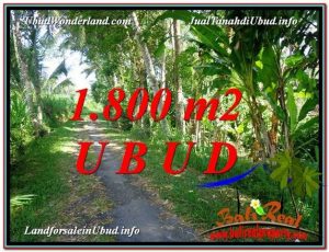 JUAL TANAH di UBUD BALI 18 Are View Sungai dan Tebing link Villa