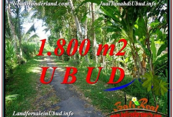 TANAH MURAH di UBUD BALI DIJUAL 18 Are di Ubud Payangan