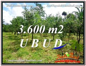 JUAL MURAH TANAH di UBUD 36 Are View kebun 