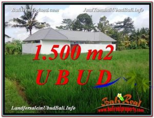 JUAL TANAH MURAH di UBUD BALI 1,500 m2  View  link Villa