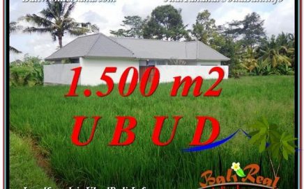 JUAL TANAH MURAH di UBUD BALI 1,500 m2 View link Villa