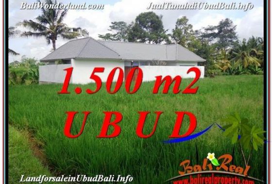 INVESTASI PROPERTY, TANAH di UBUD BALI DIJUAL MURAH TJUB600