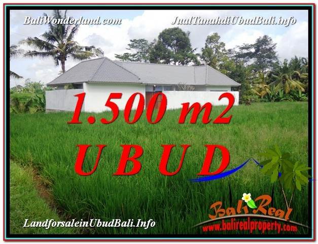 INVESTASI PROPERTY, TANAH di UBUD BALI DIJUAL MURAH TJUB600