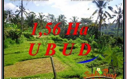 JUAL TANAH di UBUD 15,600 m2 View Sawah, Sungai dan Tebing