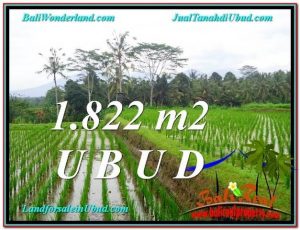 JUAL MURAH TANAH di UBUD Untuk INVESTASI TJUB574