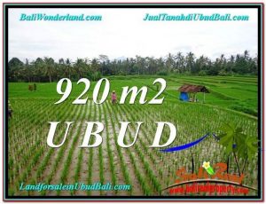 DIJUAL TANAH di UBUD Untuk INVESTASI TJUB575