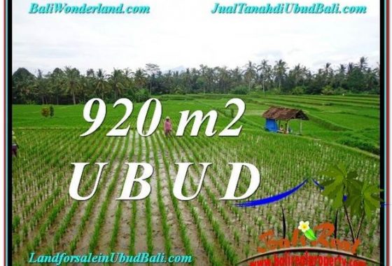 TANAH di UBUD DIJUAL MURAH Untuk INVESTASI TJUB575