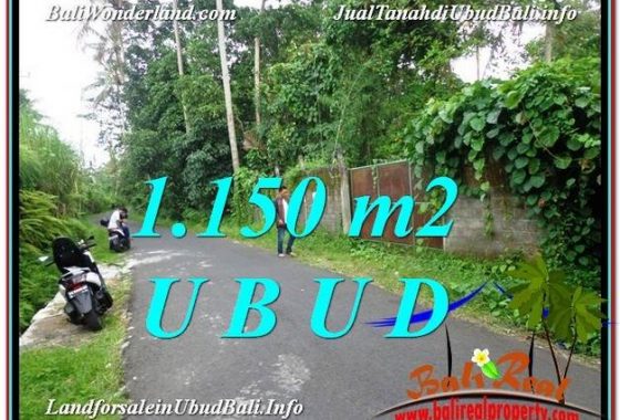 TANAH MURAH di UBUD BALI Untuk INVESTASI TJUB576