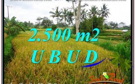 INVESTASI PROPERTY, JUAL TANAH MURAH di UBUD TJUB577