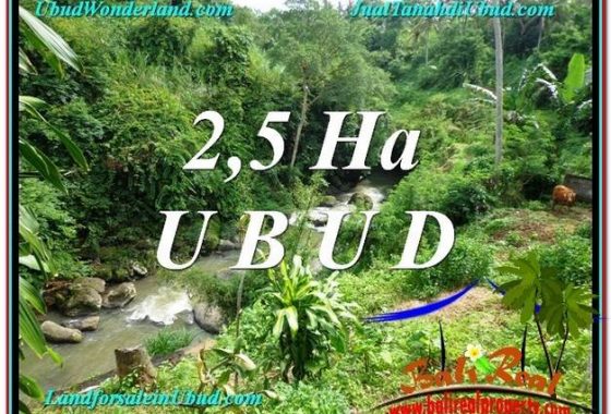 INVESTASI PROPERTI, DIJUAL MURAH TANAH di UBUD BALI TJUB579