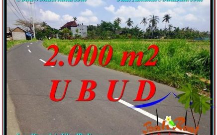 TANAH MURAH di UBUD BALI 20 Are di Sentral Ubud