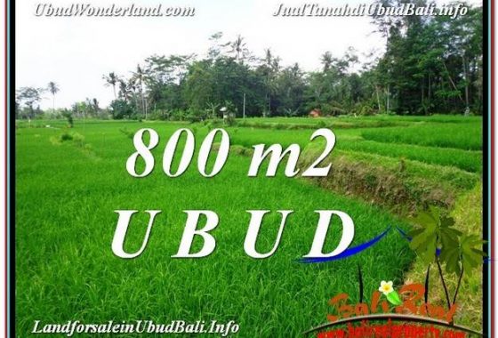 JUAL TANAH di UBUD BALI 800 m2 View Sawah dan sungai