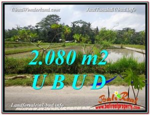 JUAL TANAH di UBUD BALI 2,080 m2  View  Sawah 