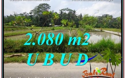 JUAL TANAH di UBUD BALI 2,080 m2 View Sawah