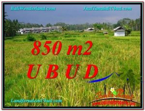 JUAL MURAH TANAH di UBUD BALI 9 Are View  Sawah link Villa