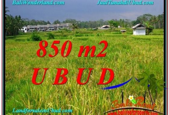 TANAH MURAH DIJUAL di UBUD 9 Are di Ubud Pejeng