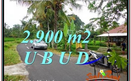 TANAH DIJUAL MURAH di UBUD BALI Untuk INVESTASI TJUB586