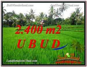 DIJUAL TANAH di UBUD 2,400 m2 di Sentral Ubud